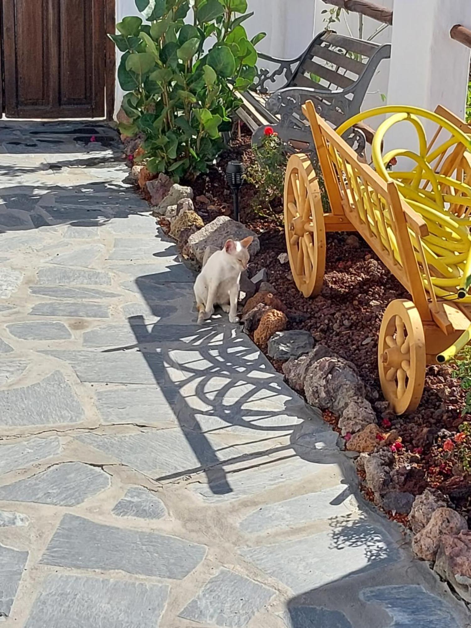 New Cave With Pool See View And Garden Santa Cruz de Tenerife Luaran gambar
